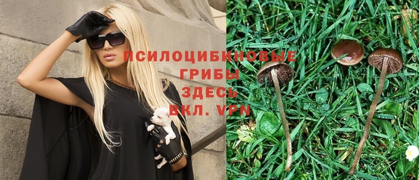 ALPHA-PVP Бугульма