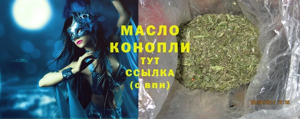 mix Богородицк