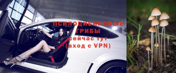 прущая мука Богородск
