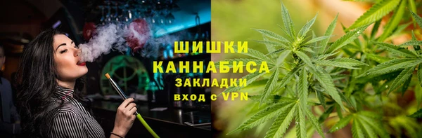 mix Богородицк
