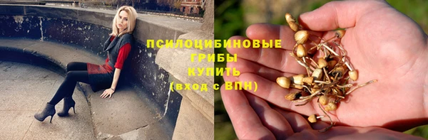 ALPHA-PVP Бугульма