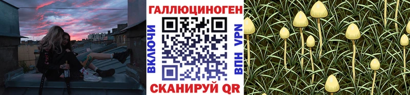 Псилоцибиновые грибы Magic Shrooms Армавир
