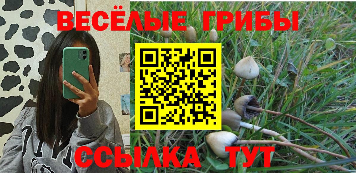 Армавир  Галлюциногенные грибы MAGIC MUSHROOMS  Псилоцибиновые грибы ЛСД  Вход с VPN 